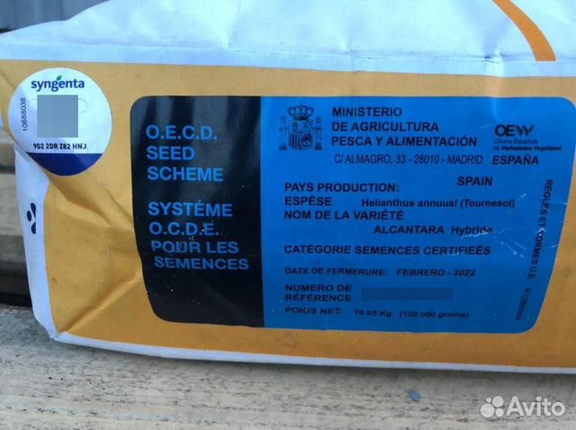 Семена подсолнечника Алькантара купить в Шахтах | Товары для дома и ...