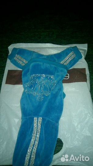 Комбинезон для маленькой собачки