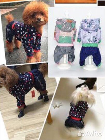 Новая ветровка для собаки девочки