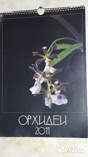 Открытки, календарь перекидной