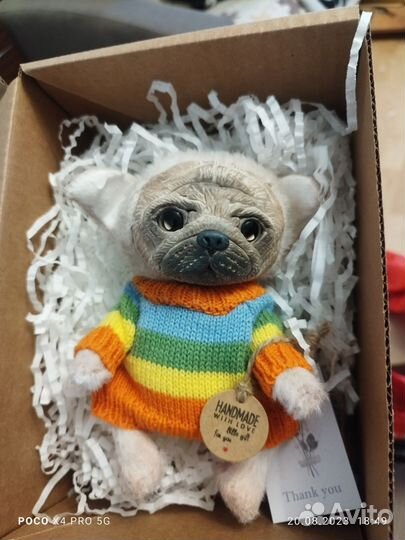 Собаки мопс и бульдог