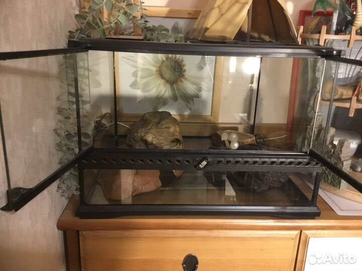 Террариум для рептилий exo terra 45x45x30 см