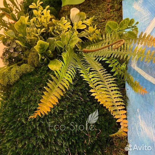 Стабилизированный мох