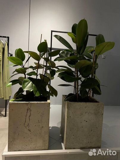 Бетонные кашпо на заказ для цветов / Доставка