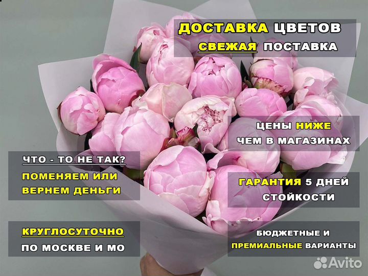 Пионы, цветы от производителя. Гарантия. 24/7
