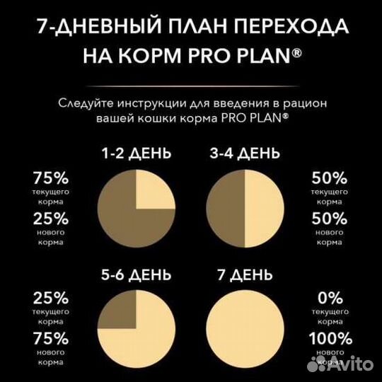 Корма для кошек и собак оптом