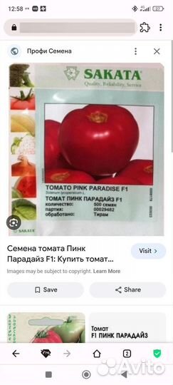 Семена томатов пинк парадайз