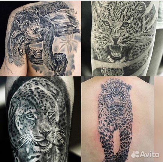 Тату, Исправление тату, перекрытие тату