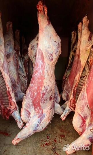 Фермерское мясо говядина свинина опаленая