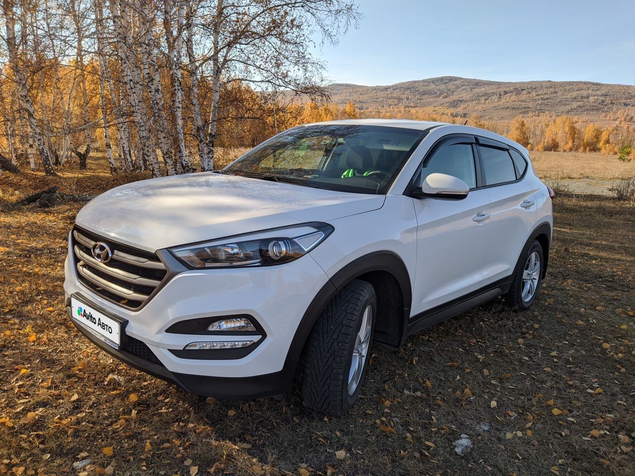 Hyundai Tucson: фото владельца