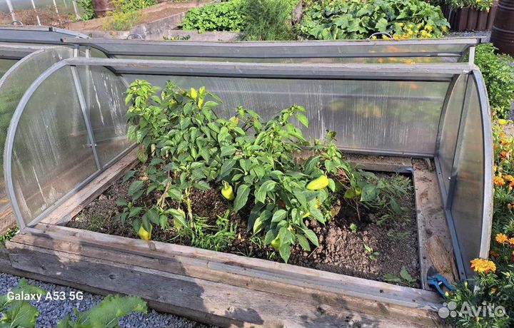 Парник хлебница