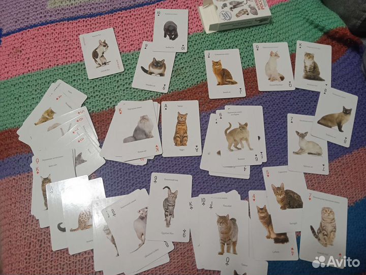 Игральные карты сувенирные Кошки России
