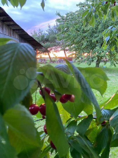 Участок 33,5 га (СНТ, ДНП)