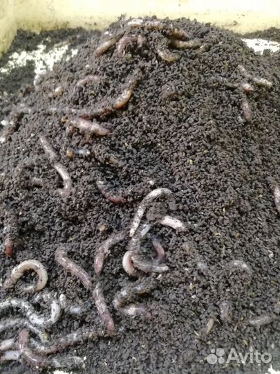 Биогумус,вермикомпост