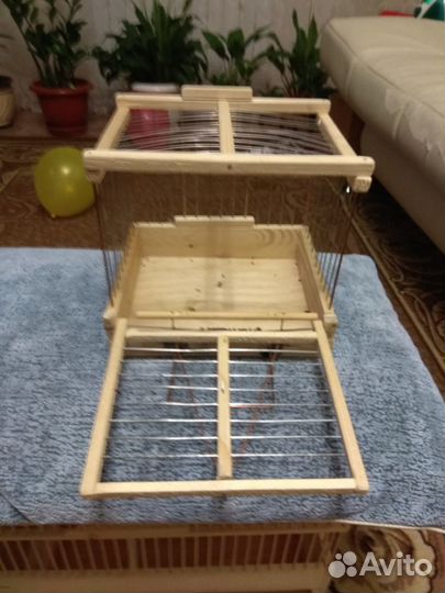 Канарейки и Прекрасно поющие кенары