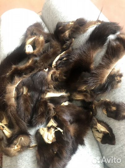 Обрезки норки