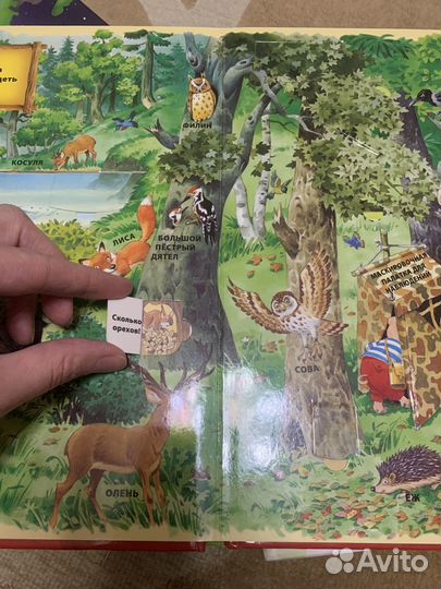 Книга с окошками и пазл