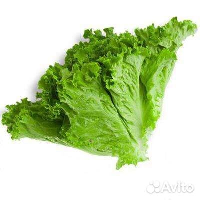 Листья салата, зелень
