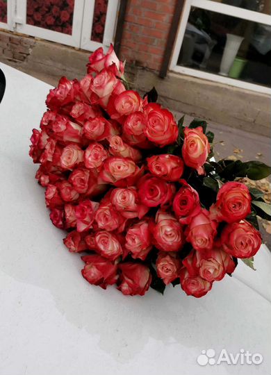 Розы, букет цветов 51 шт