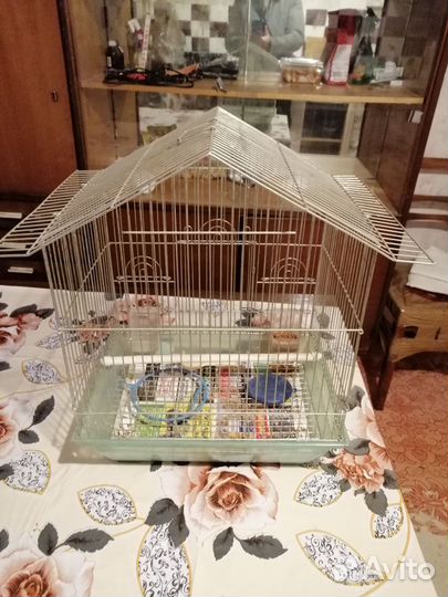 Клетка для грызунов