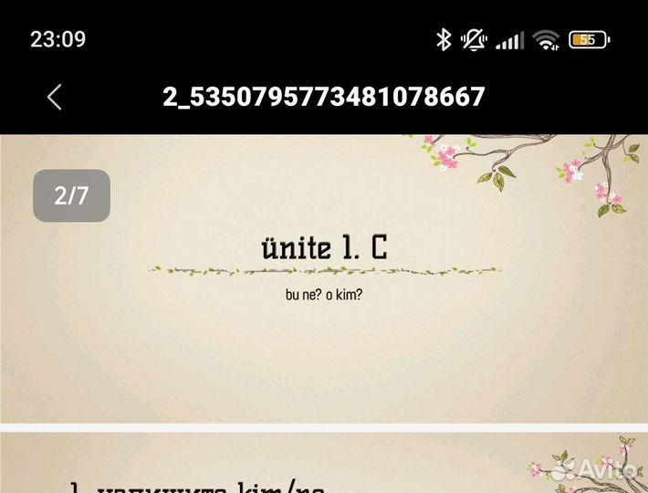 Репетитор по турецкому языку