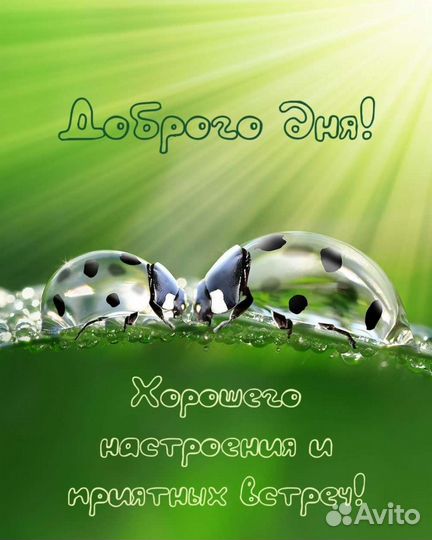 Клининговые услуги. Мытье окон. Уборка квартир,дом