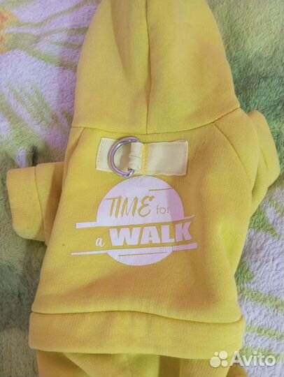 Одежда для собак