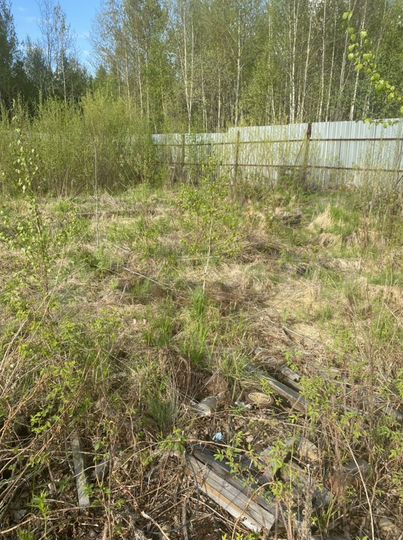 Участок 11 сот. (СНТ, ДНП)