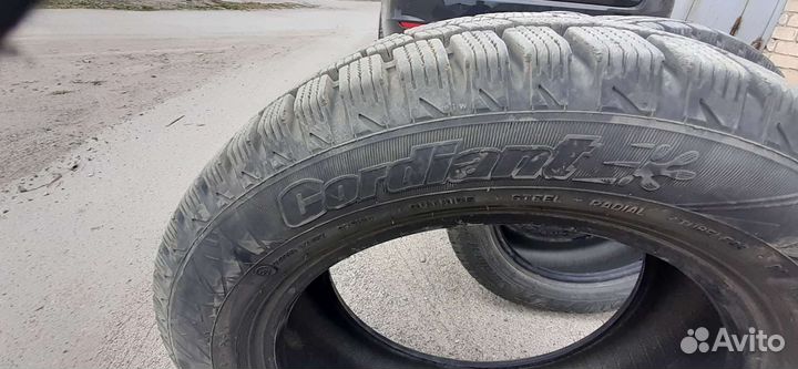 Cordiant Winter Drive 195/55 R15