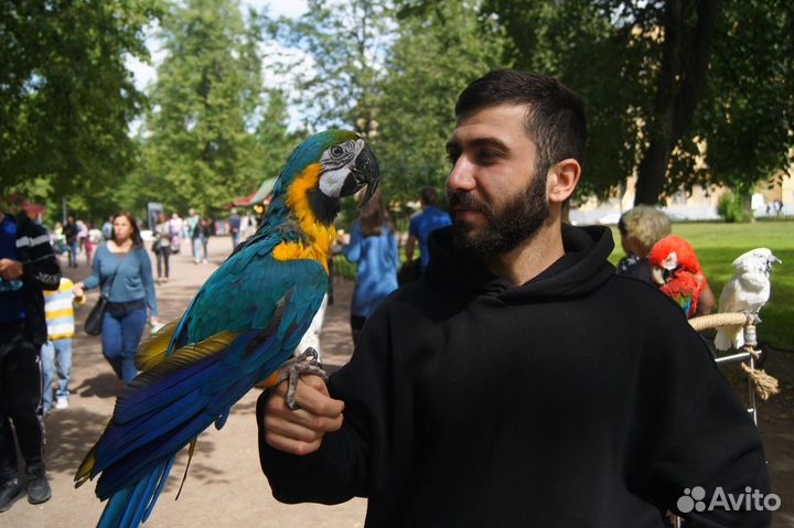 Фотосъемка