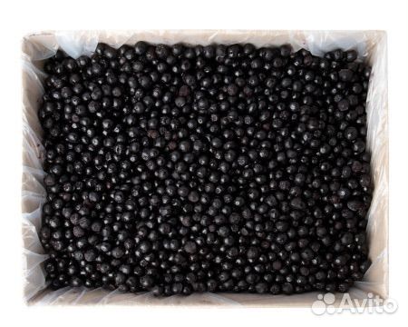 Черноплодная рябина