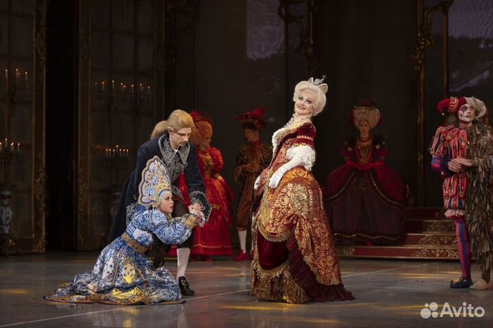 Билеты на мюзикл каприз императрицы