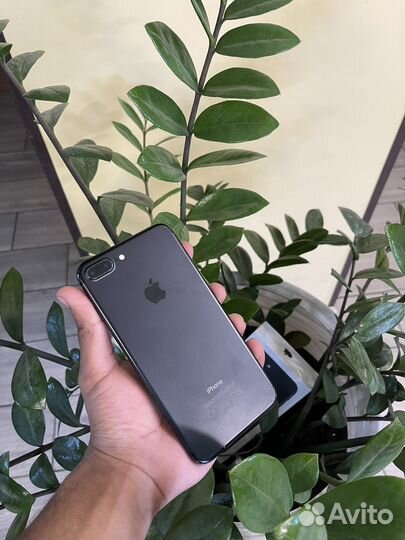iPhone 7 Plus, 256 ГБ