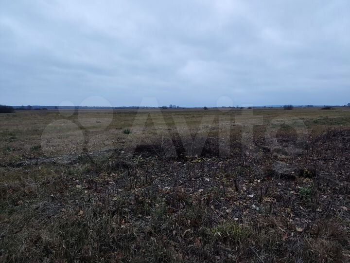 Участок 5,6 га (СНТ, ДНП)