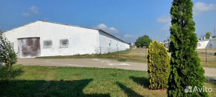 Продается птицефабрика