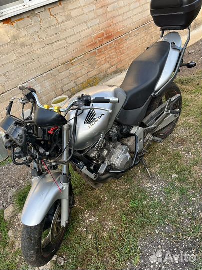 Honda cb600s hornet