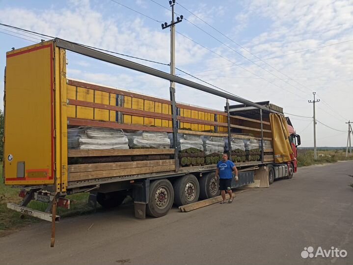 Питомник растений №1