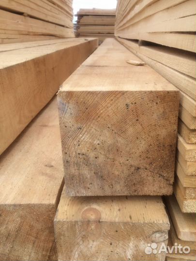 Брус обрезой хвоя 100x100x6021