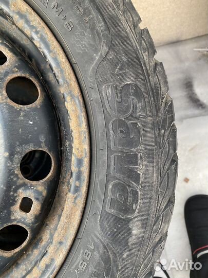 Sava Eskimo Stud 185/60 R15