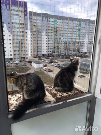 Сетка и Балкончик - антикошка на окно