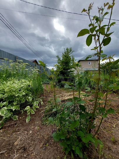 Дача 72 м² на участке 5,9 сот.