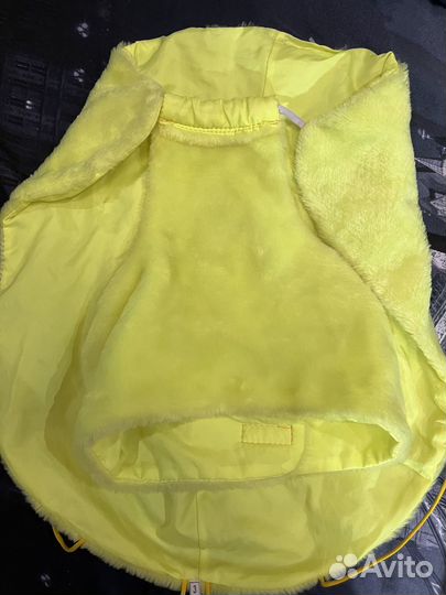 Одежда попона для собак