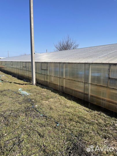 Тепличное хозяйство