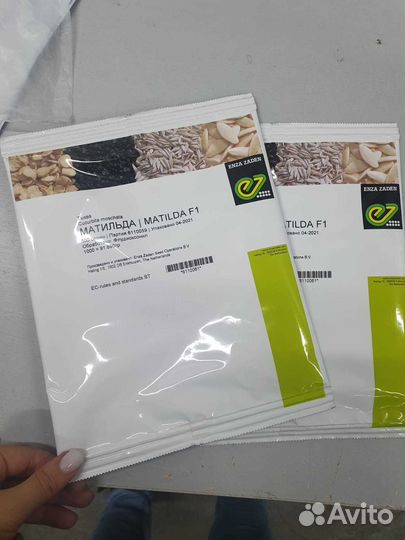 Семена Тыква Матильда гибрид 500с Энза Заден