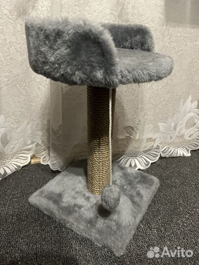 Когтеточка