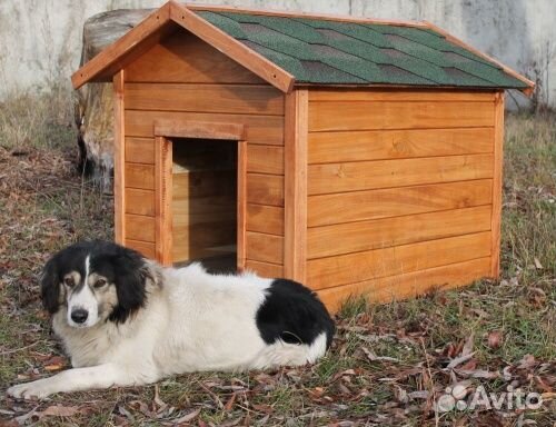 Будка для собаки, конура