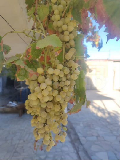 Дом 155,8 м² на участке 3 сот.