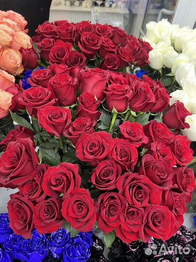 Розы 50 см Эквадор