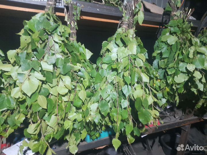 Веники для бани