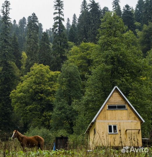 Уникальный тур в Абхазию. Ауадхара